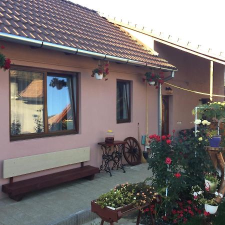Villa Casa Rustica Cu Terasa à Mediaş Extérieur photo