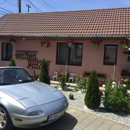 Villa Casa Rustica Cu Terasa à Mediaş Extérieur photo