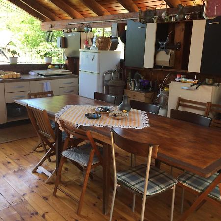Villa Casa Rustica Cu Terasa à Mediaş Extérieur photo