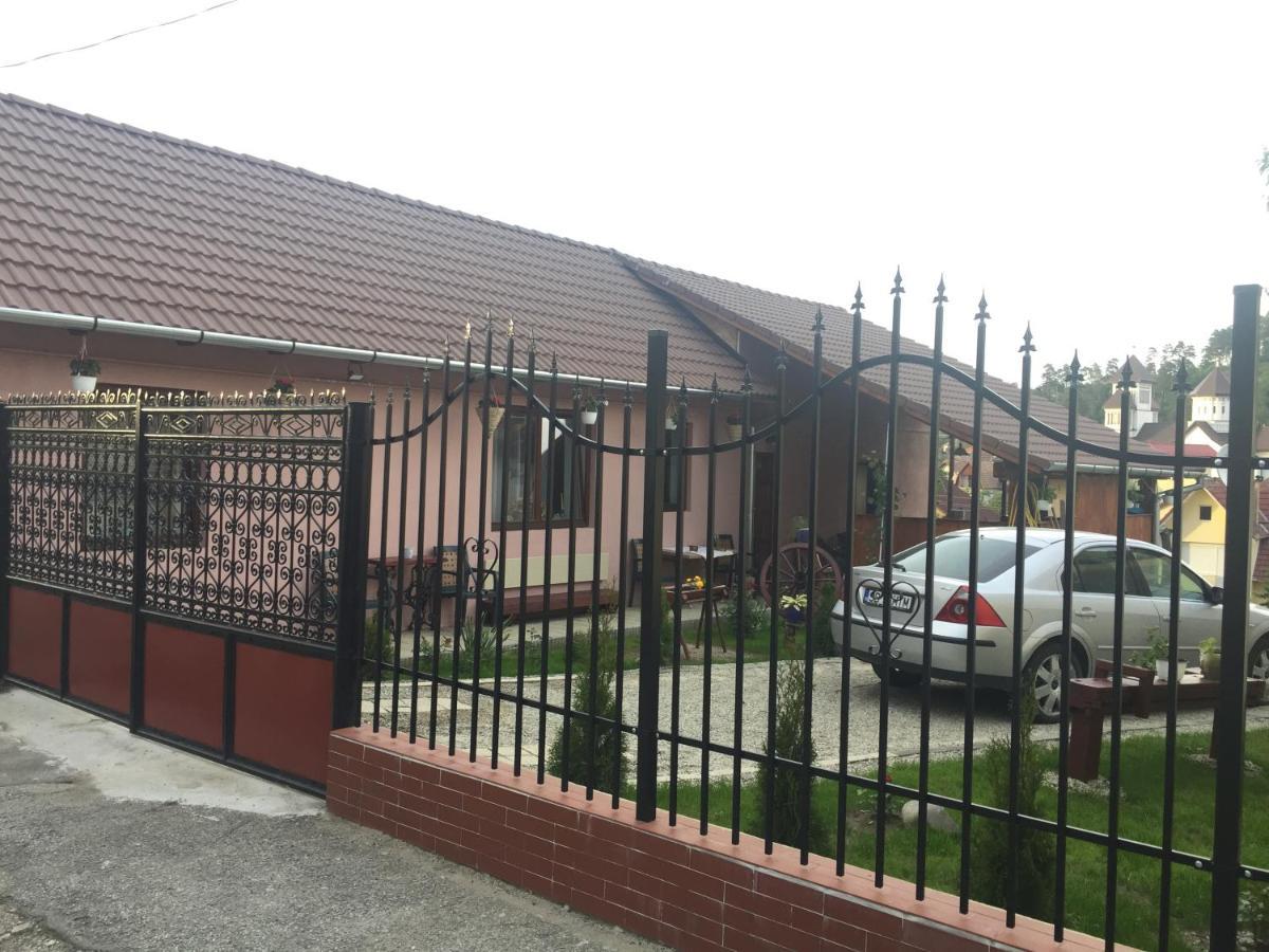 Villa Casa Rustica Cu Terasa à Mediaş Extérieur photo