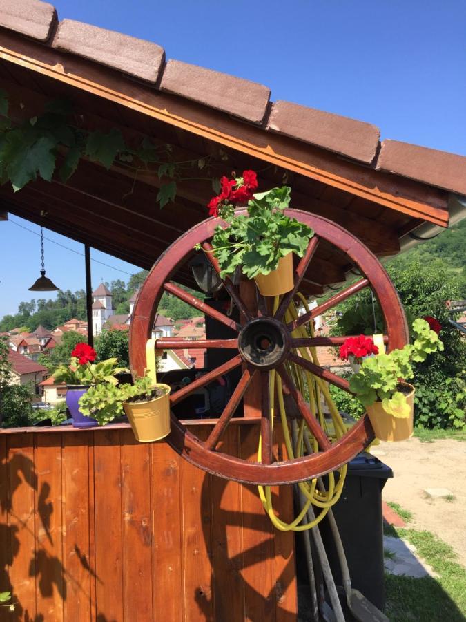 Villa Casa Rustica Cu Terasa à Mediaş Extérieur photo