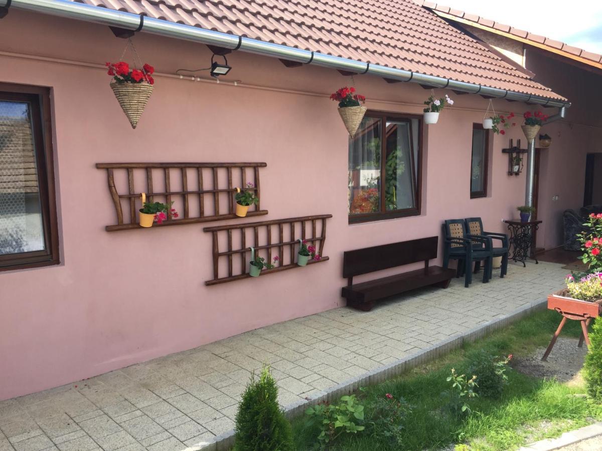 Villa Casa Rustica Cu Terasa à Mediaş Extérieur photo