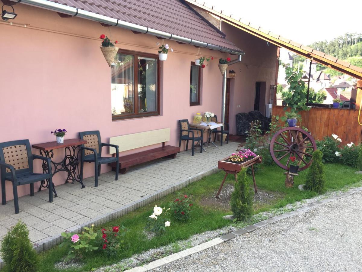 Villa Casa Rustica Cu Terasa à Mediaş Extérieur photo