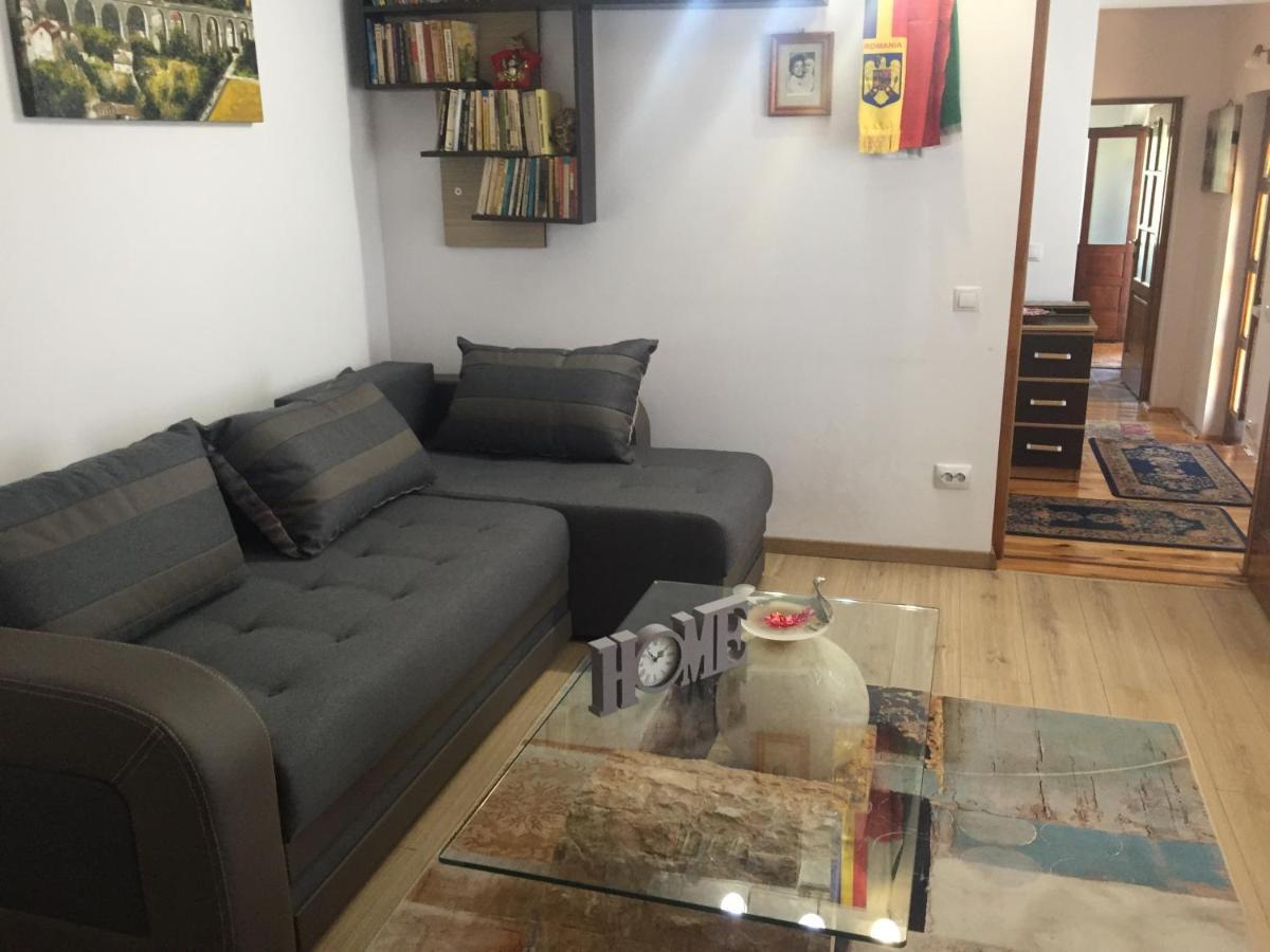 Villa Casa Rustica Cu Terasa à Mediaş Extérieur photo