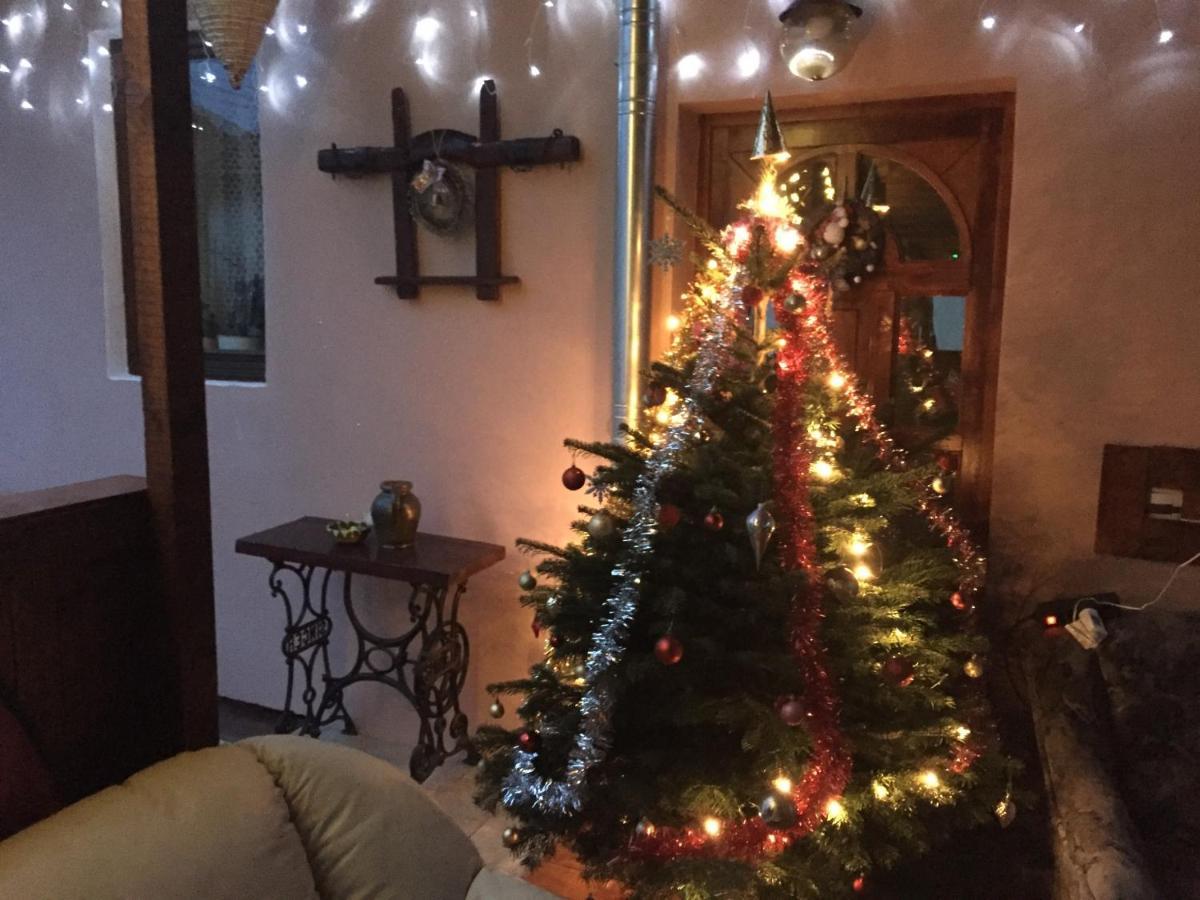 Villa Casa Rustica Cu Terasa à Mediaş Extérieur photo